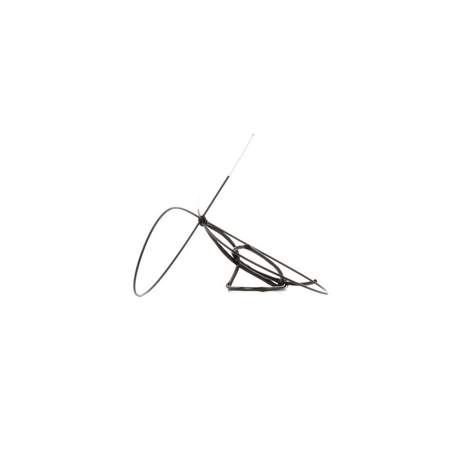 Accelerator Cable - RIDEX 618A0002