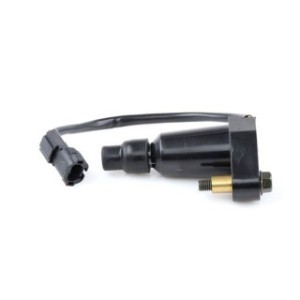 Ignition Coil - RIDEX 689C0325