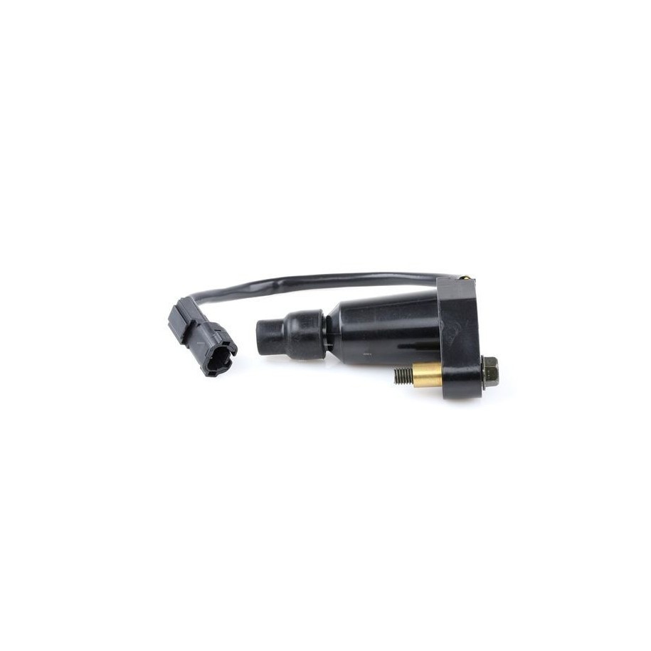 Ignition Coil - RIDEX 689C0325