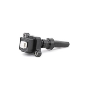 Ignition Coil - RIDEX 689C0326