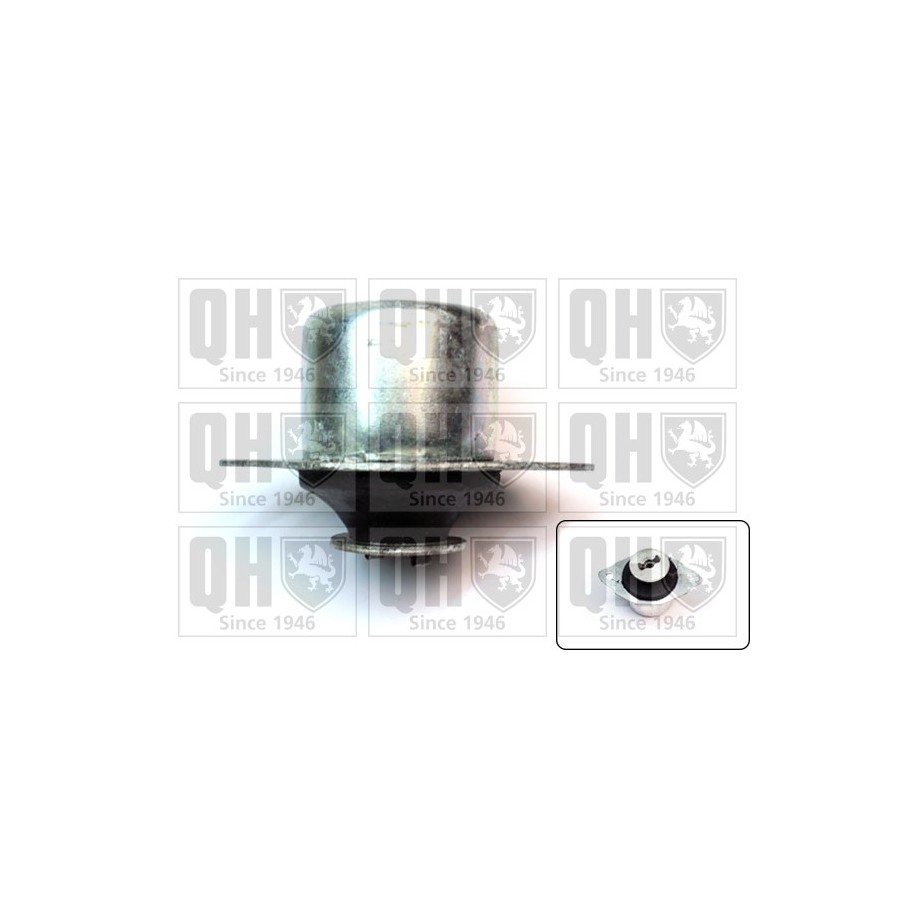 Engine Mounting EM1829 for SEAT VW OE 357199402A