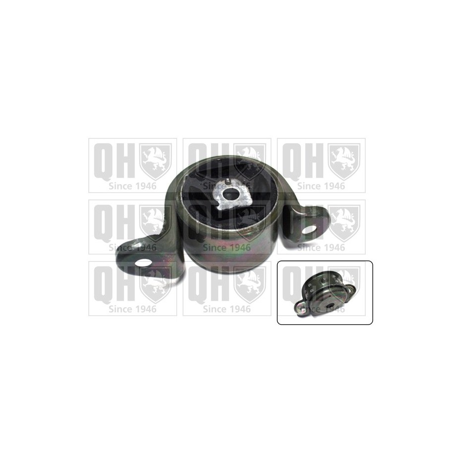 Engine Mounting EM1920 for VAUXHALL OE 684646