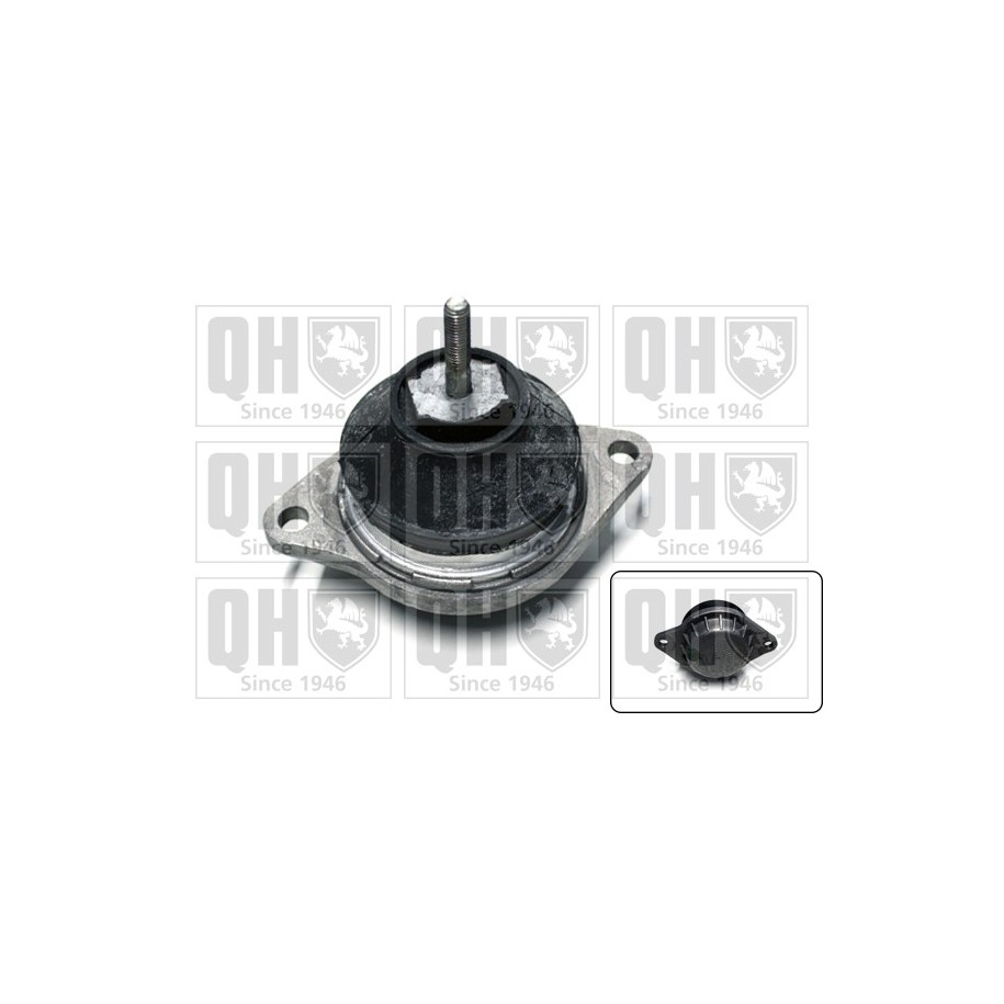 Engine Mounting EM1928