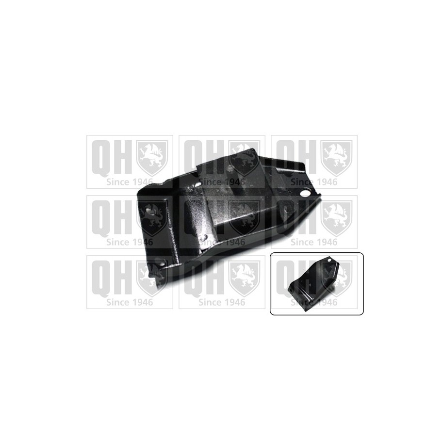 Engine Mounting EM2171 for RENAULT 4 OE 0822891500