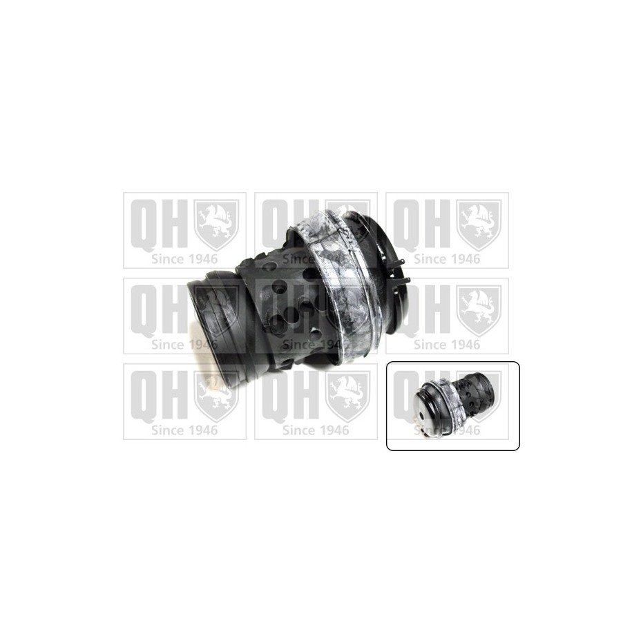Engine Mounting EM2421 for SEAT VW OE 1H0199609E