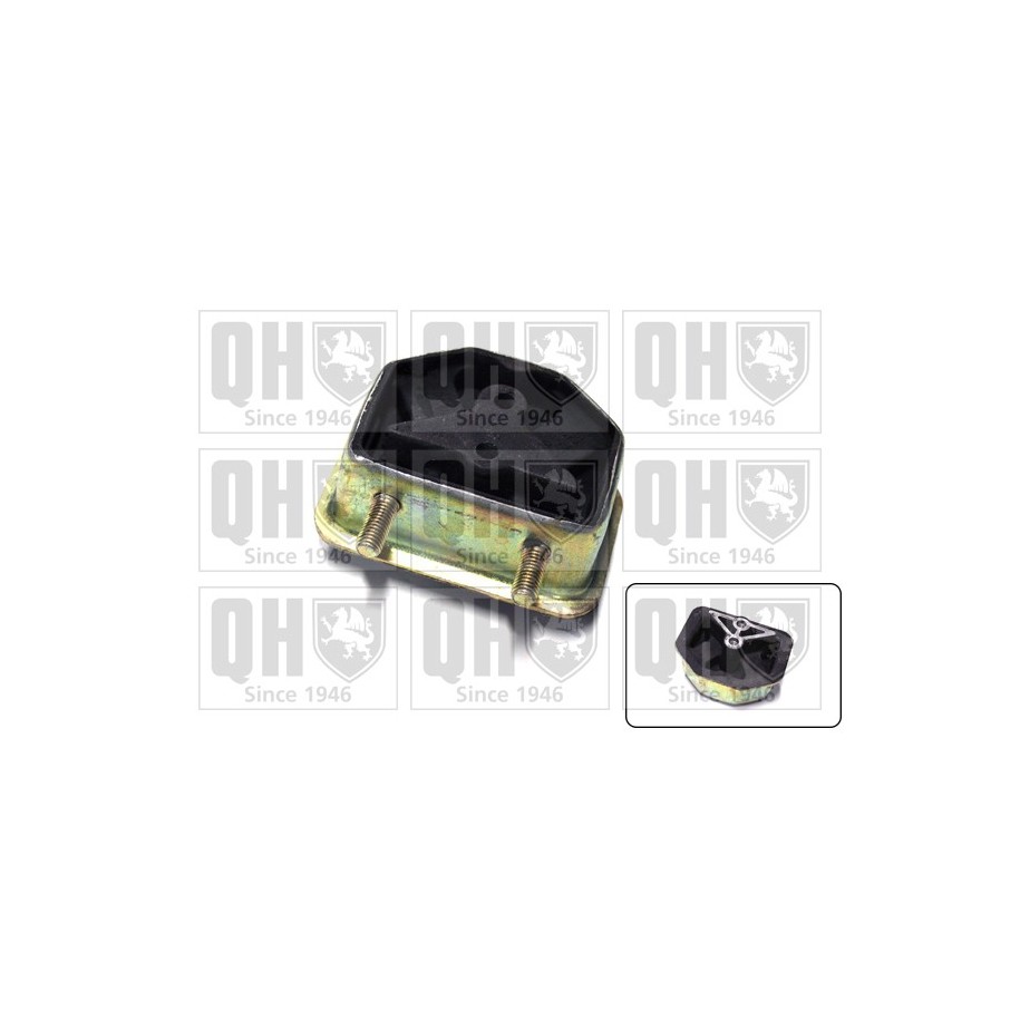 Engine Mounting EM2460 for VAUXHALL KADETT OE 684263