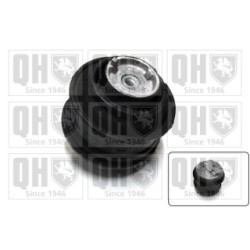 Engine Mounting EM2477 for MERCEDES E-CLASS