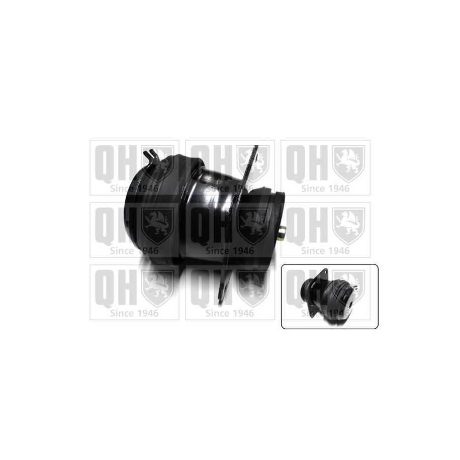 Engine Mounting EM2503 for VW PASSAT OE 357199262D