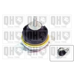 Engine Mounting EM4219 for CITROEN FIAT LANCIA