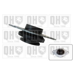Engine Mounting EM4302 for RENAULT OE 8200000016