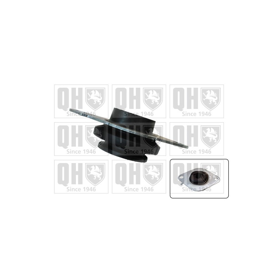 Engine Mounting EM4302 for RENAULT OE 8200000016