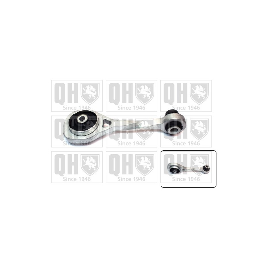 Engine Mounting EM4313 for RENAULT CLIO KANGOO