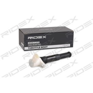 Ignition Coil - RIDEX 689C0327
