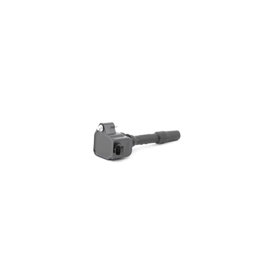 Ignition Coil - RIDEX 689C0328