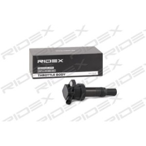 Ignition Coil - RIDEX 689C0332