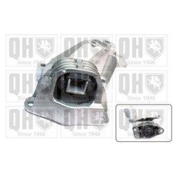 Engine Mounting EM4668 for DACIA RENAULT