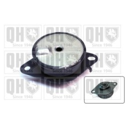 Engine Mounting EM4690 for RENAULT OE 8200346799