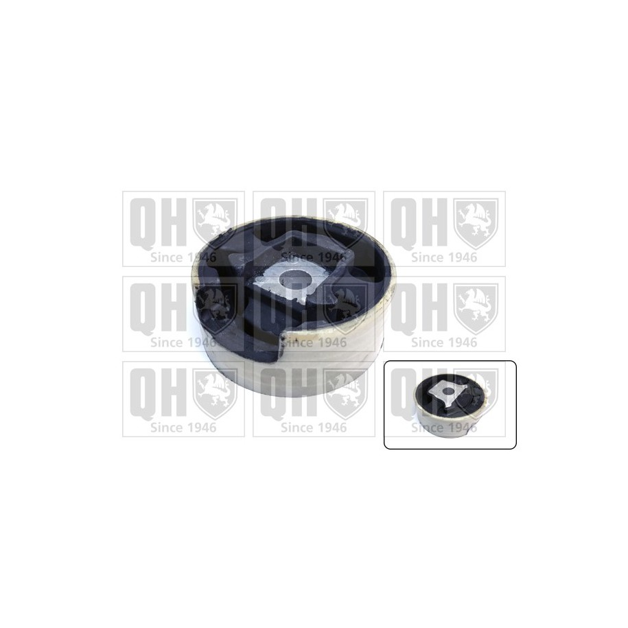 Engine Mounting EM4732 for AUDI SEAT SKODA VW