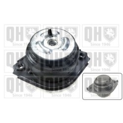 Engine Mounting EM4788 for MERCEDES M-CLASS