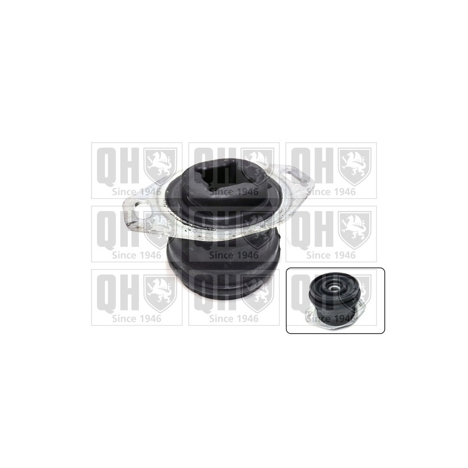 Engine Mounting EM4878 for CITROEN DS PEUGEOT
