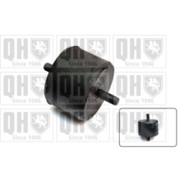 Engine Mounting EM672 for FIAT FORD LADA