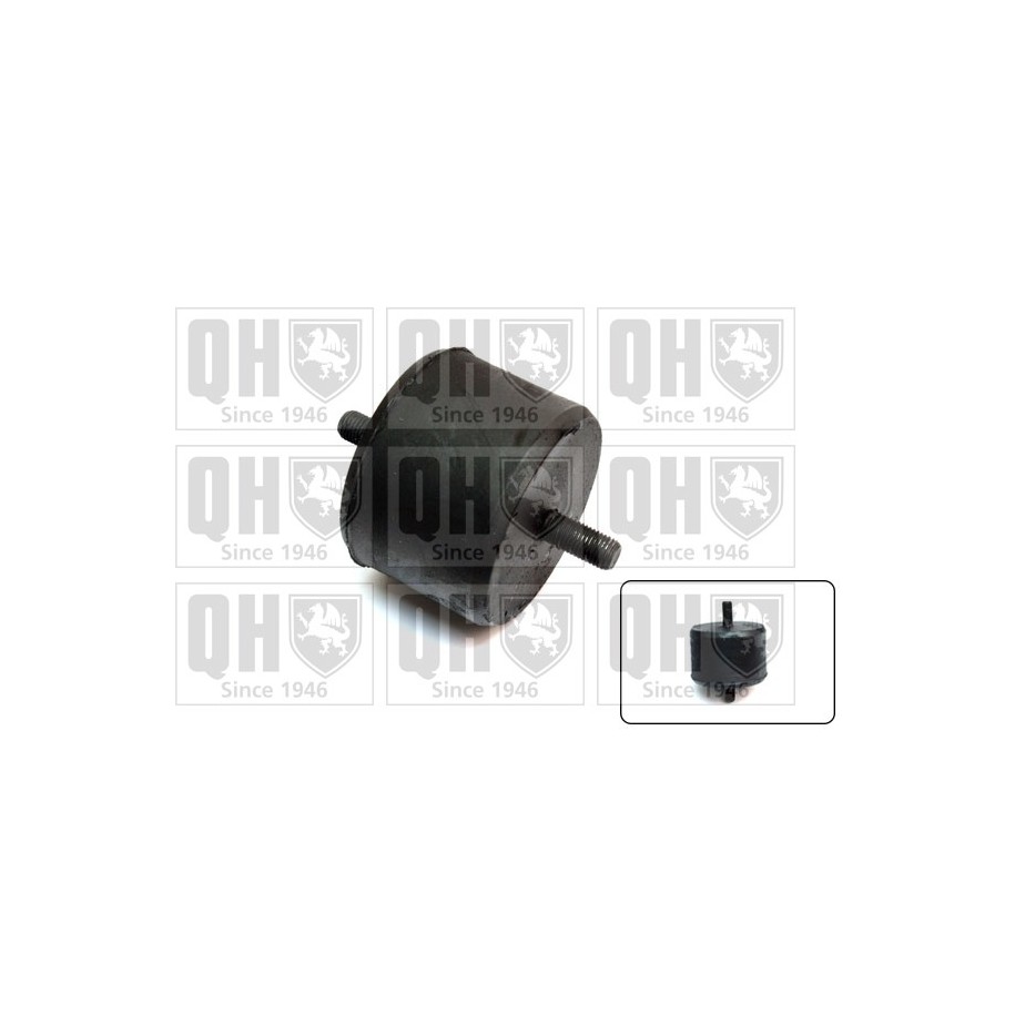 Engine Mounting EM672 for FIAT FORD LADA