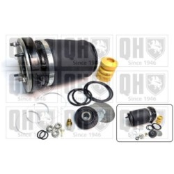 Suspension Air Spring EMR4803 for BMW X5 OE 37116761444
