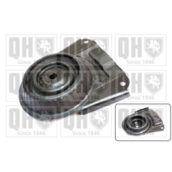Suspension Strut Support Mount EMR6025 for FORD