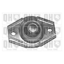 Control Trailing Arm Mounting EMS2030 for RENAULT