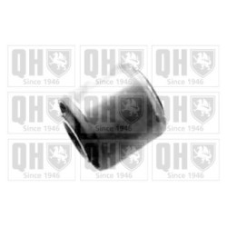 Control Trailing Arm Mounting EMS2211 for RENAULT
