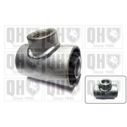 Control Trailing Arm Mounting EMS2216 for RENAULT