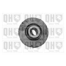 Control Trailing Arm Mounting EMS2447 for AUDI
