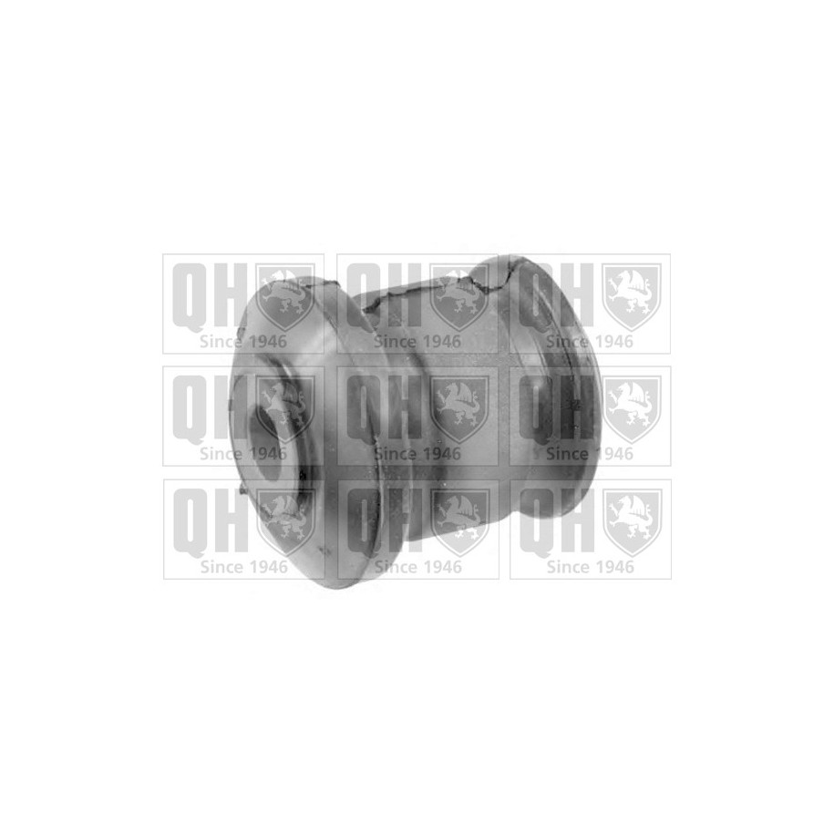 Control Trailing Arm Mounting EMS8202 for FORD