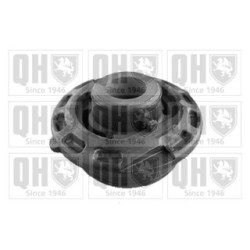 Control Trailing Arm Mounting EMS8219