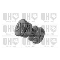 Control Trailing Arm Mounting EMS8258 for MERCEDES