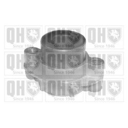 Control Trailing Arm Mounting EMS8284 for RENAULT