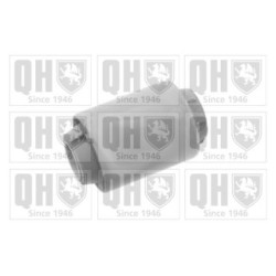 Control Trailing Arm Mounting EMS8327 for RENAULT