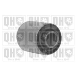 Control Trailing Arm Mounting EMS8329 for RENAULT