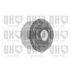 Control Trailing Arm Mounting EMS8424 for AUDI