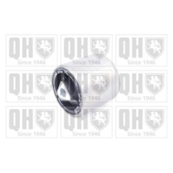 Control Trailing Arm Mounting EMS8486 for BMW 7