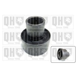 Control Trailing Arm Mounting EMS8760 for RENAULT
