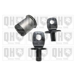 Control Trailing Arm Mounting EMS8794 for VAUXHALL