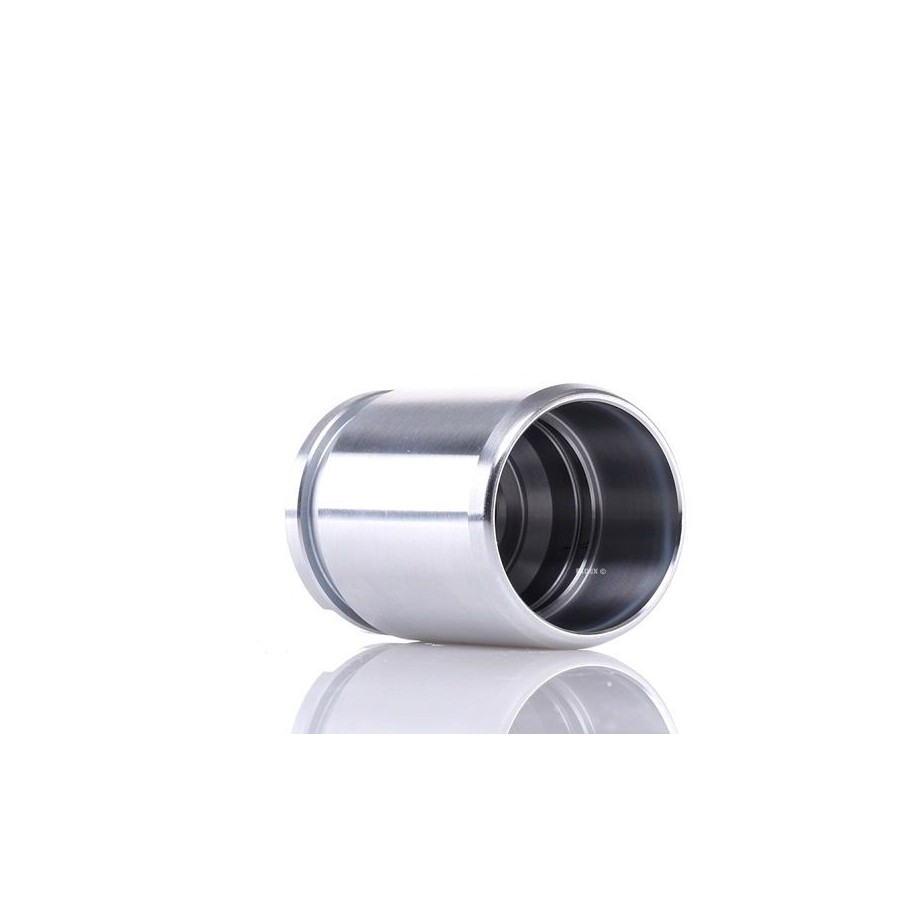 Brake Caliper Piston - RIDEX 2248P0016