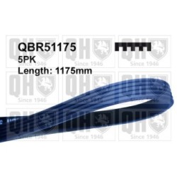 V Ribbed Belt QBR51175 for ABARTH FIAT TOYOTA