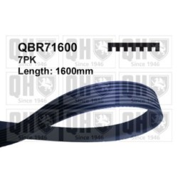 V Ribbed Belt QBR71600 for BMW DACIA MAZDA