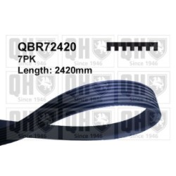V Ribbed Belt QBR72420 for MERCEDES