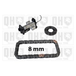 Timing Chain Kit QCK135 for CITROEN DS FORD