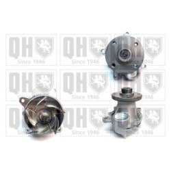 Engine Cooling Water Pump QCP3977 for FORD TRANSIT
