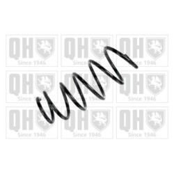 Suspension Spring QCS5164 for VAUXHALL ASTRA OE 312255