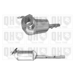 Diesel Particulate Filter (dpf) QDPF11233 for RENAULT